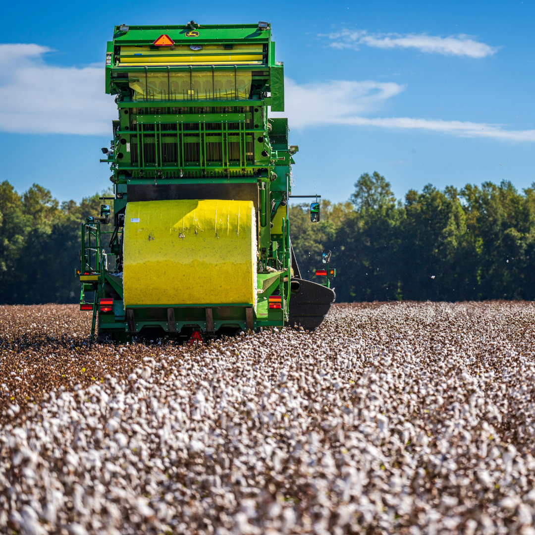 Cotton farm machine 