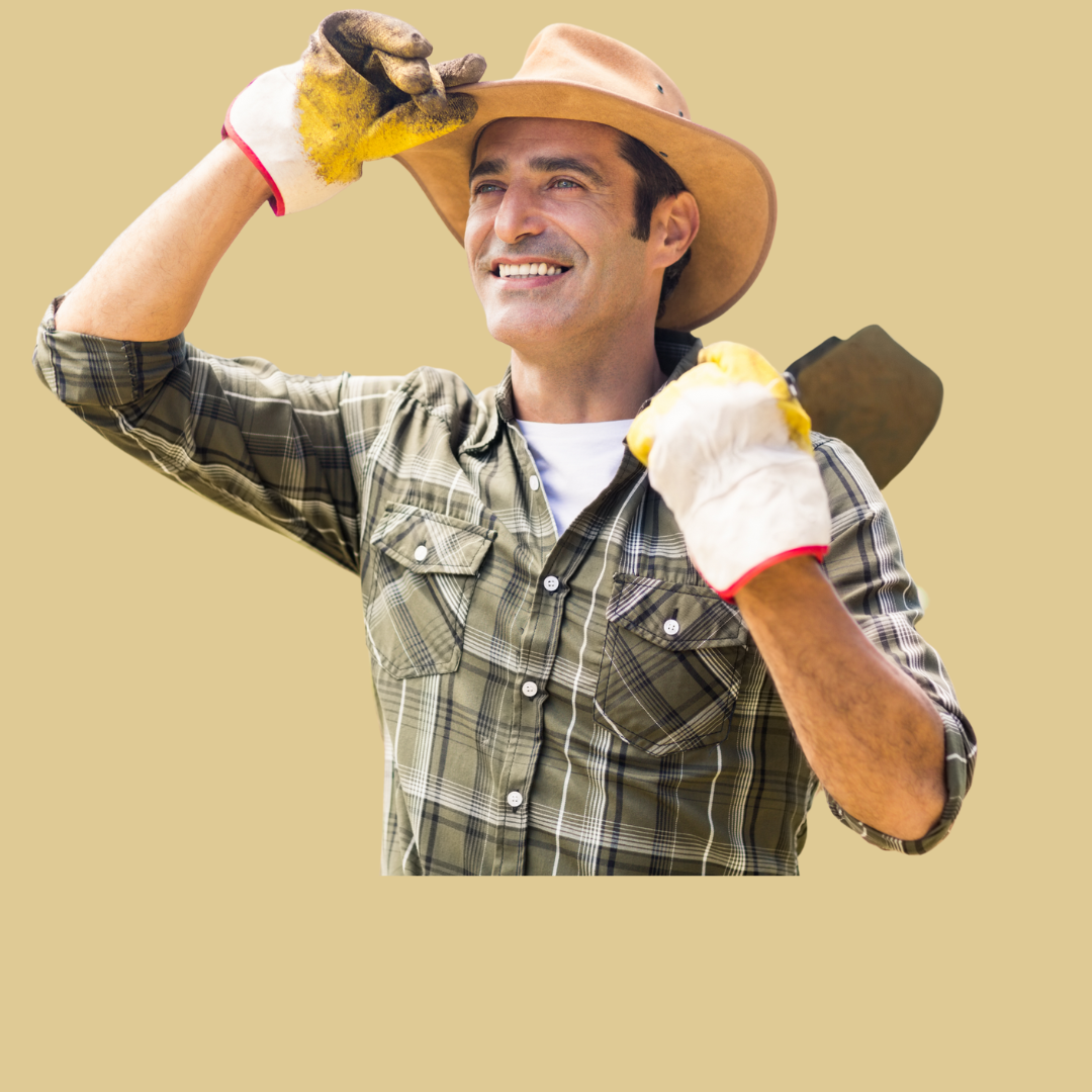 cotton picker (2)
